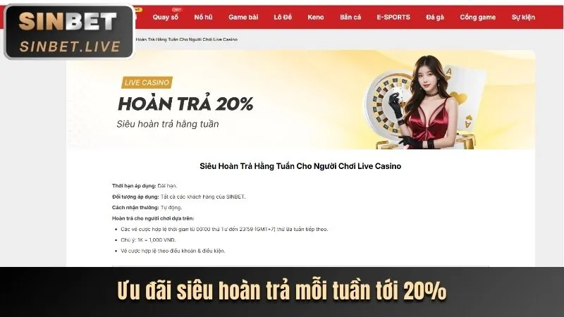 Các lợi ích độc quyền dành cho thành viên VIP k8cc